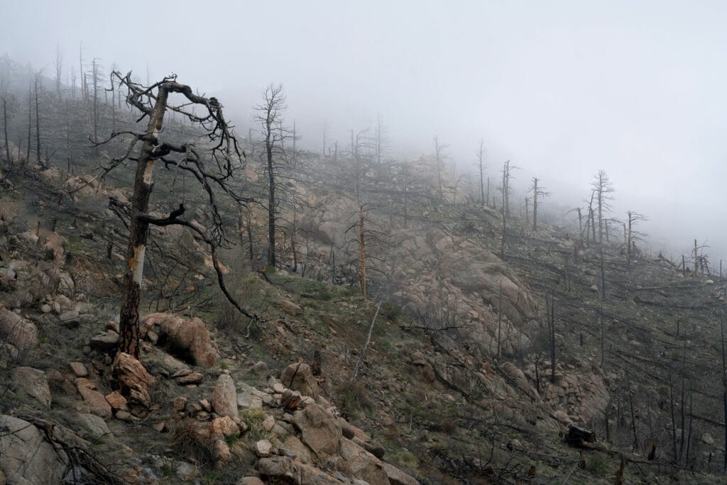 Wildfire damage in Sunshine Canyon, Boulder, CO, USA.